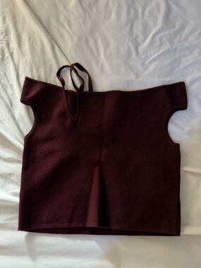 Express Burgundy Sleeveless Knit Crop Top